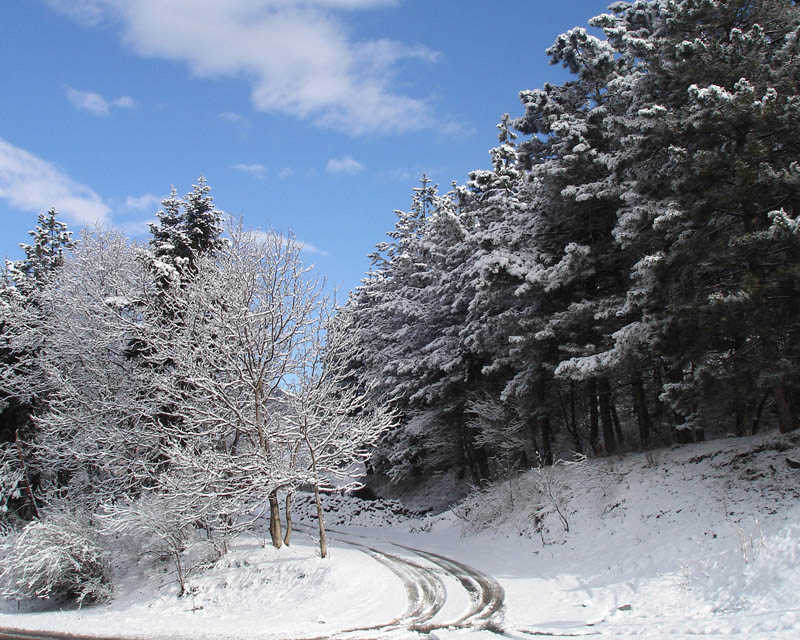 dilijan